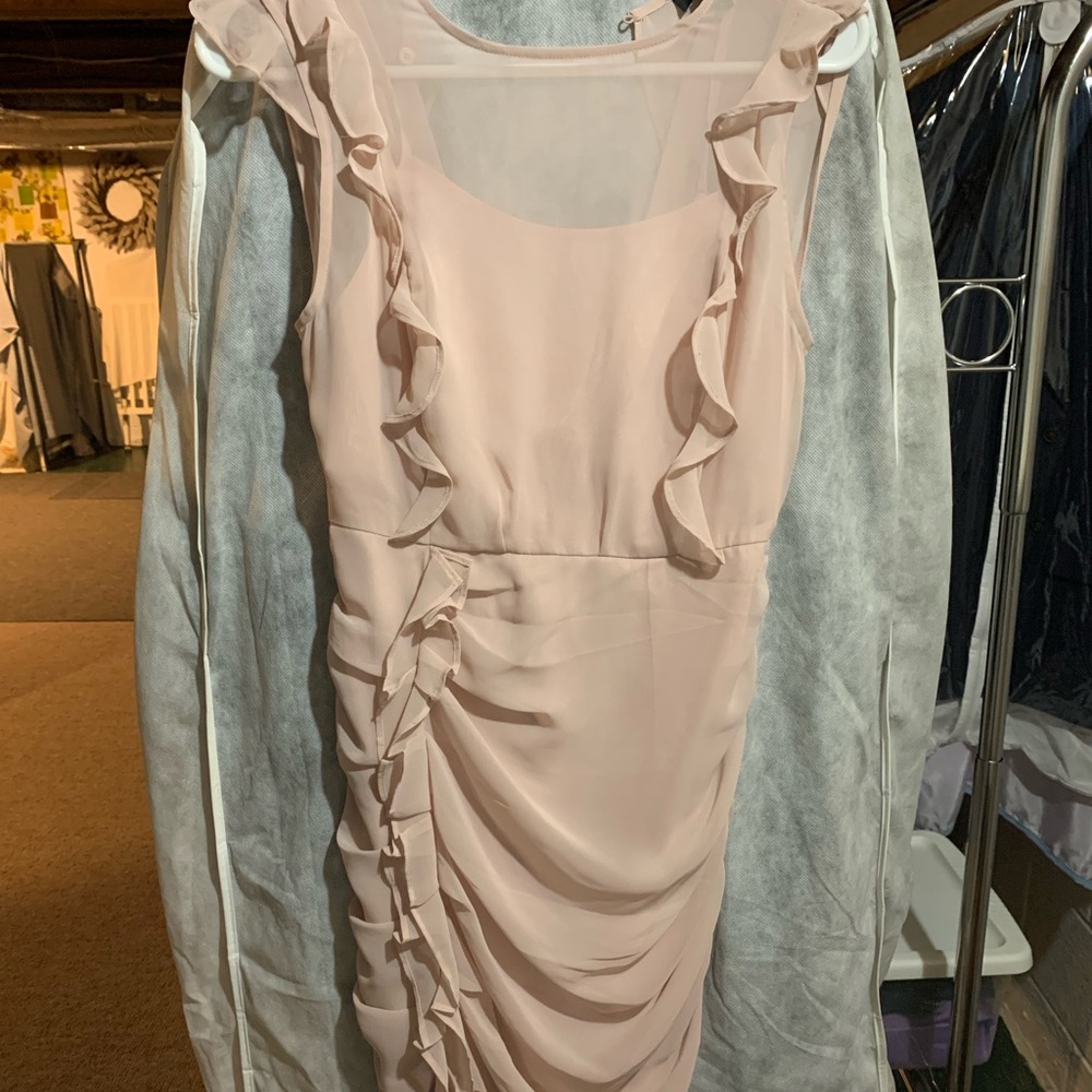 Elegant Ruffled Pink Dress